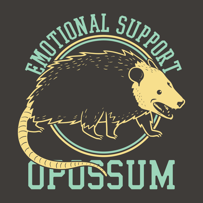 Emotional Support Opossum — CritterVision