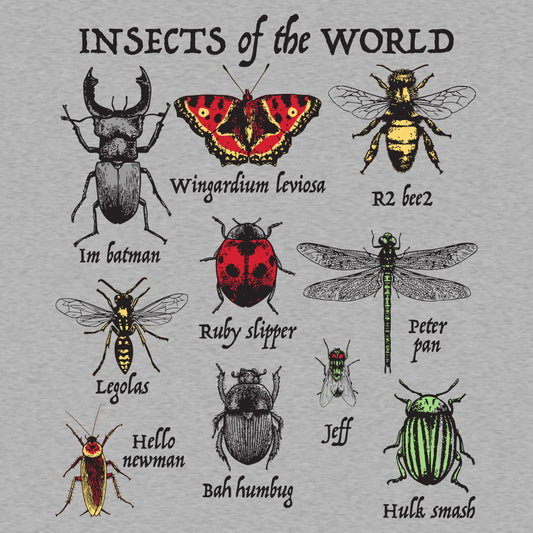 Insects Of The World