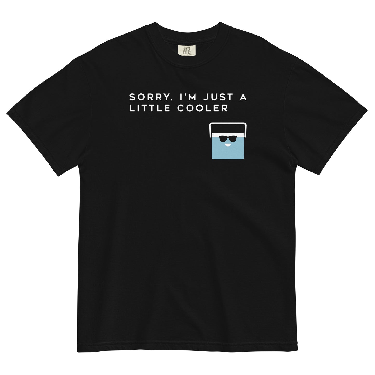 Sorry, I'm Just A Little Cooler Men's Relaxed Fit Tee