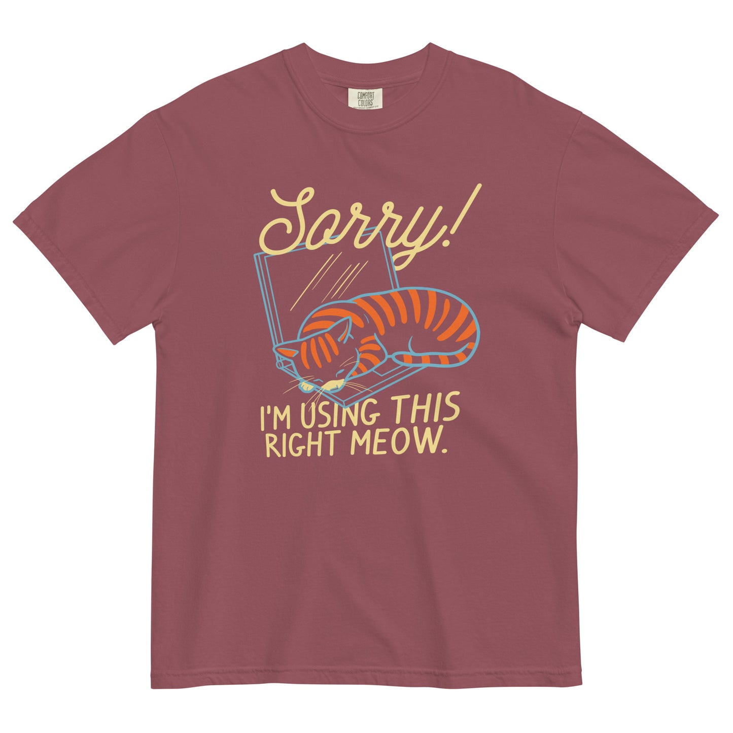 Sorry! I'm Using This Right Meow Men's Relaxed Fit Tee