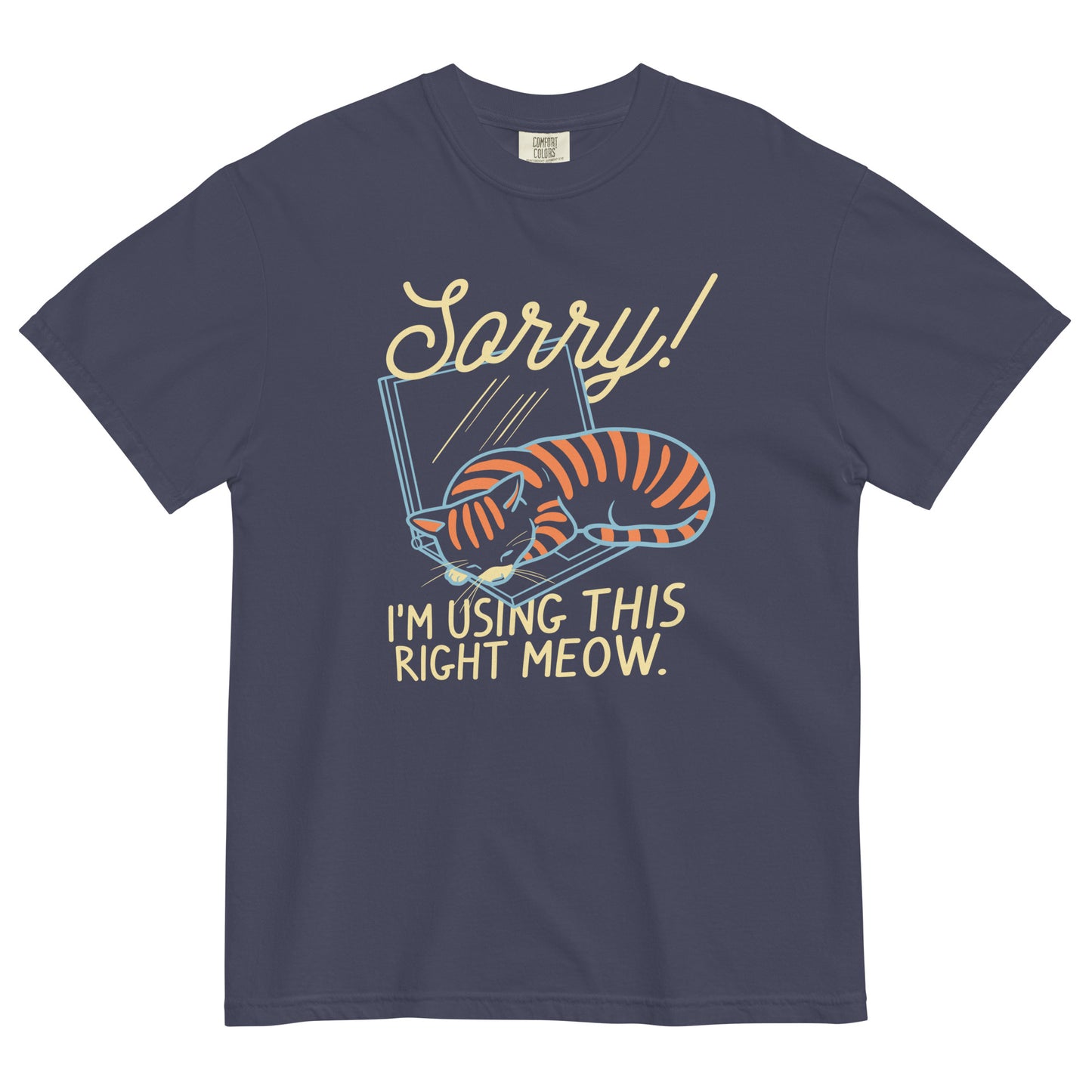 Sorry! I'm Using This Right Meow Men's Relaxed Fit Tee