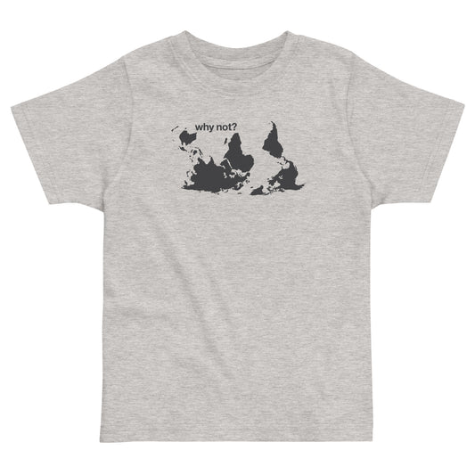 Why Not? Kid's Toddler Tee