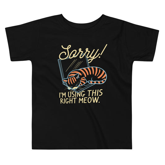 Sorry! I'm Using This Right Meow Kid's Toddler Tee