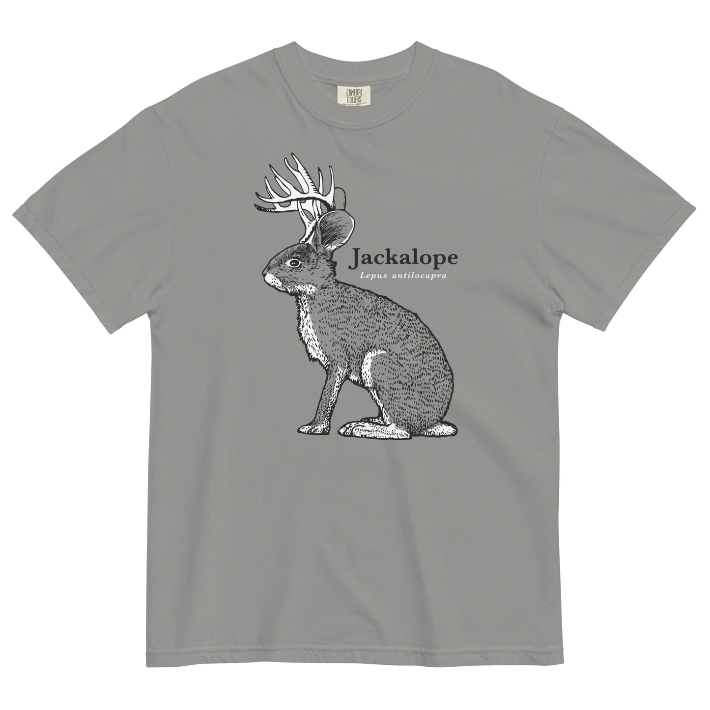 Jackalope Men's Relaxed Fit Tee