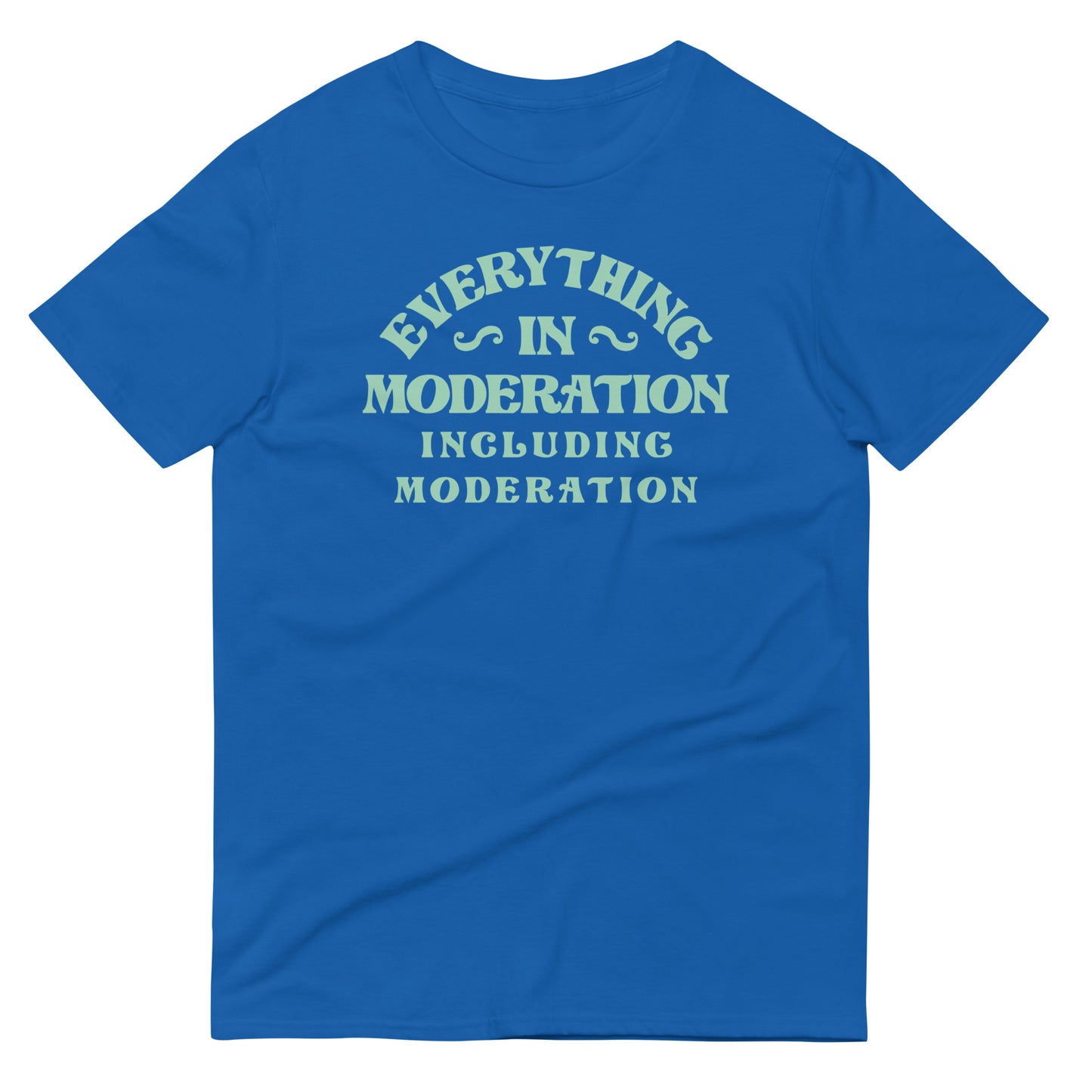 Everything In Moderation Including Moderation Men's Signature Tee