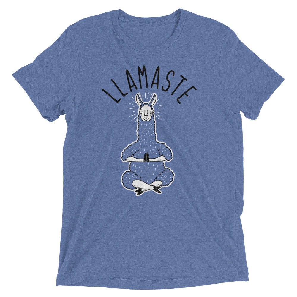 Llamaste Men's Tri-Blend Tee