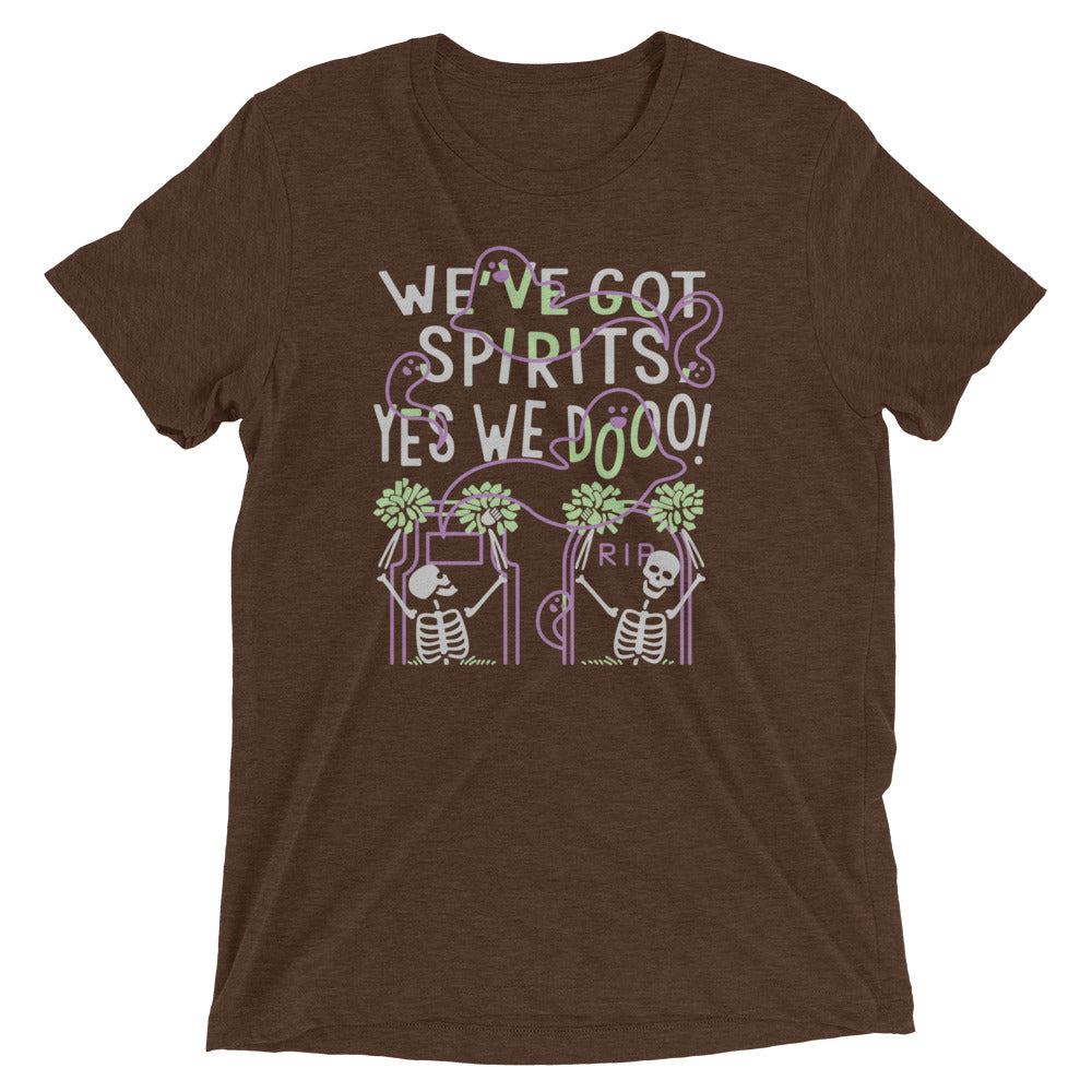 We've Got Spirits Men's Tri-Blend Tee