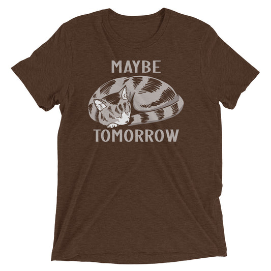 Maybe Tomorrow Men's Tri-Blend Tee