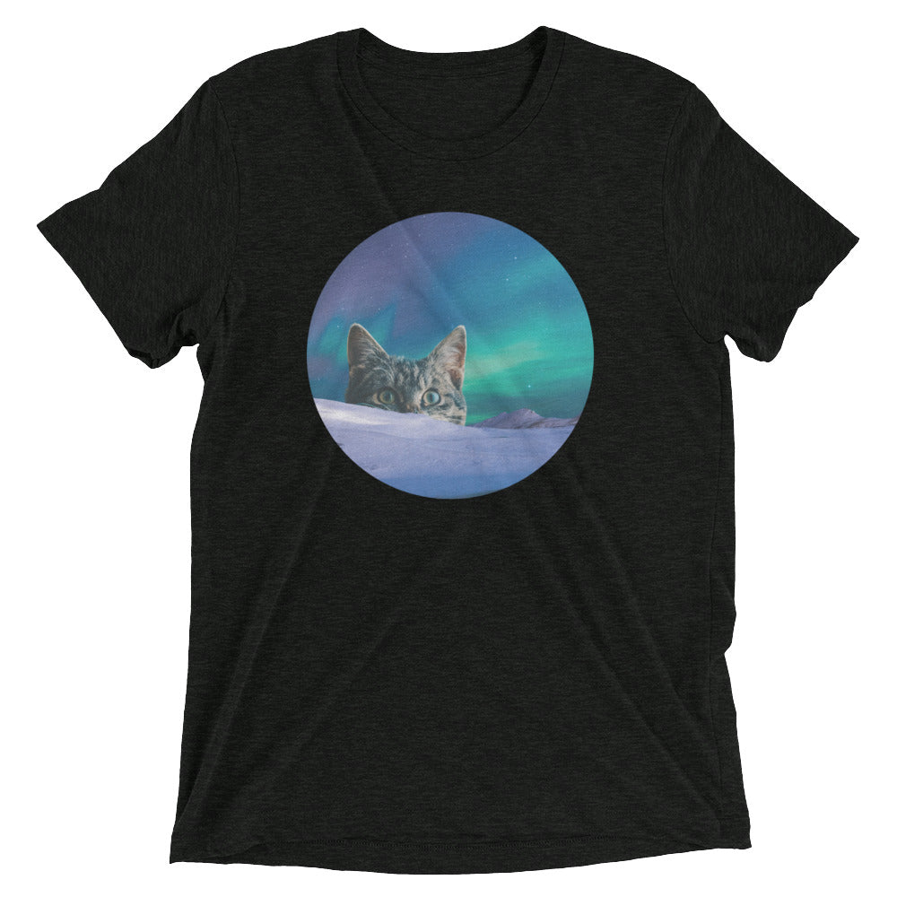 Meowthern Lights Men's Tri-Blend Tee