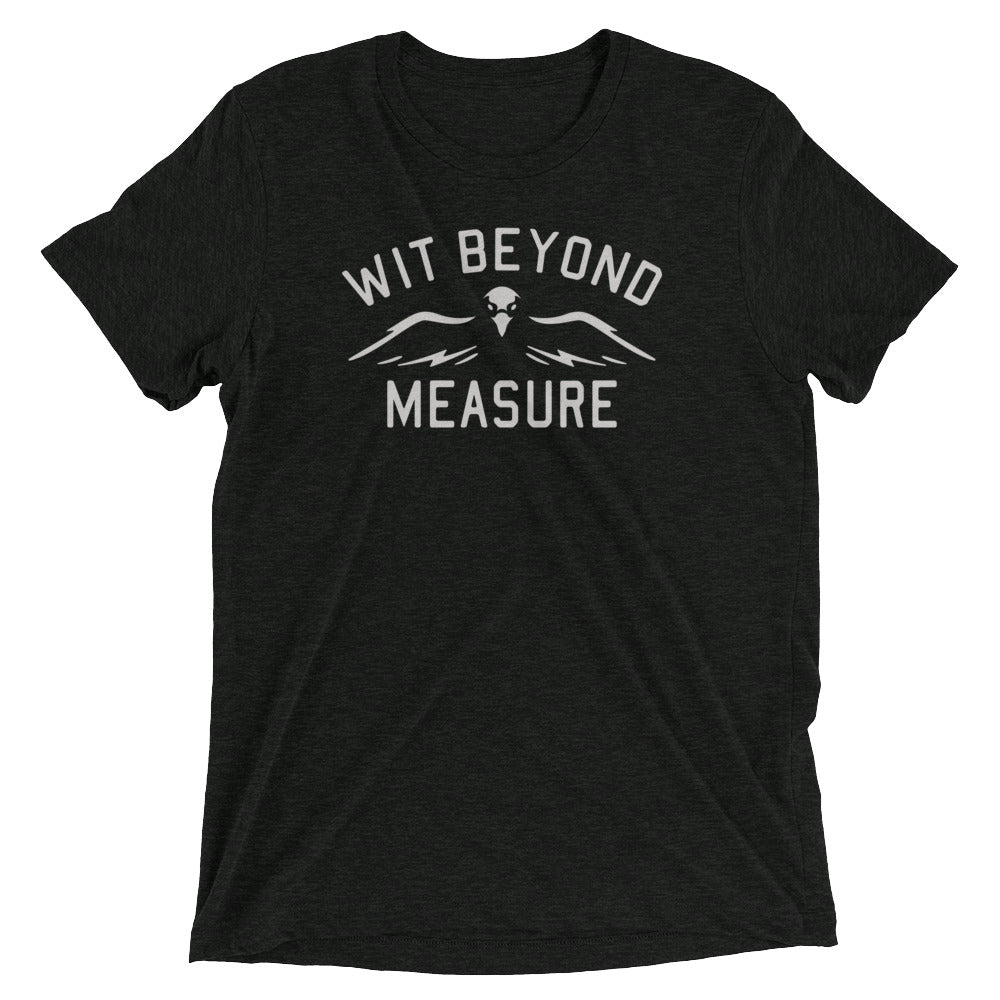 Wit Beyond Measure Men's Tri-Blend Tee