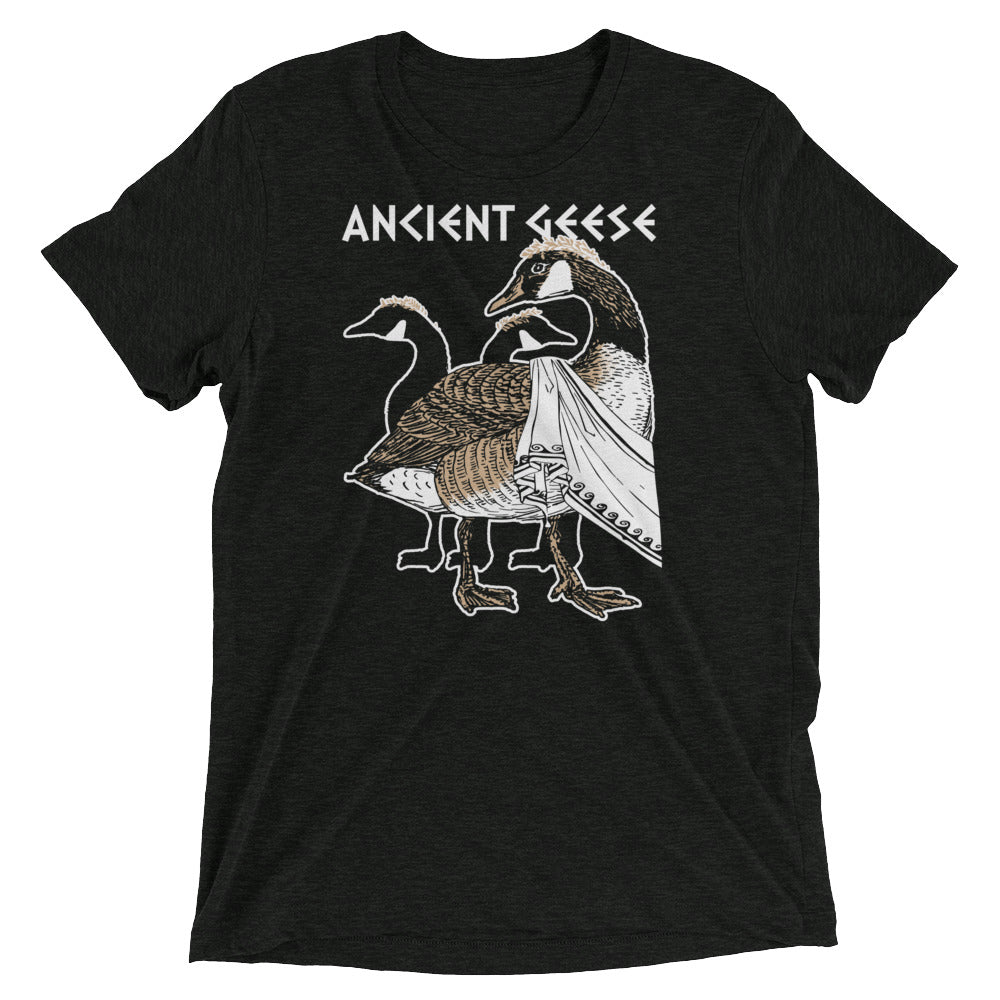 Ancient Geese Men's Tri-Blend Tee