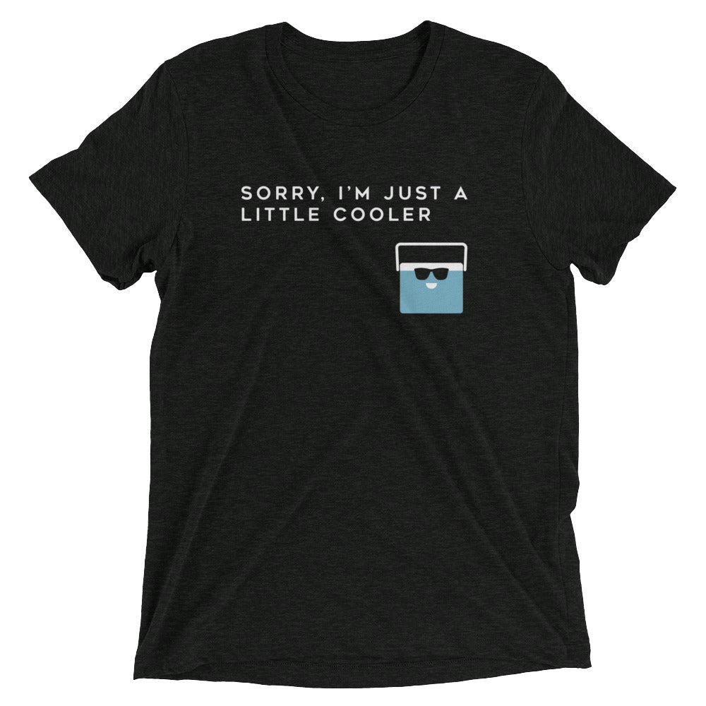 Sorry, I'm Just A Little Cooler Men's Tri-Blend Tee