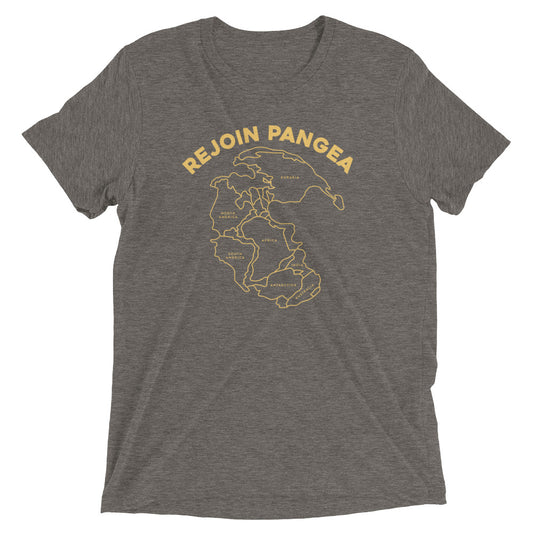 Rejoin Pangea Men's Tri-Blend Tee