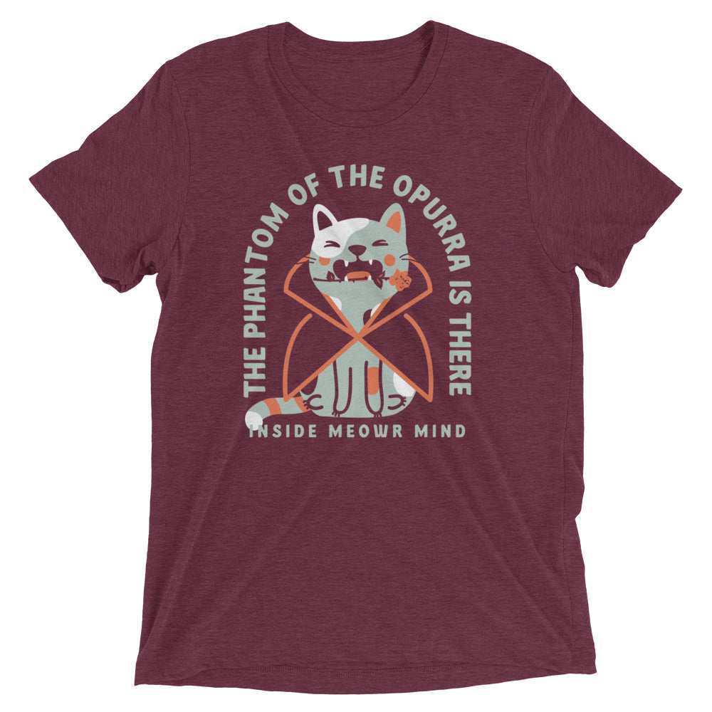 The Phantom Of The Opurra Men's Tri-Blend Tee