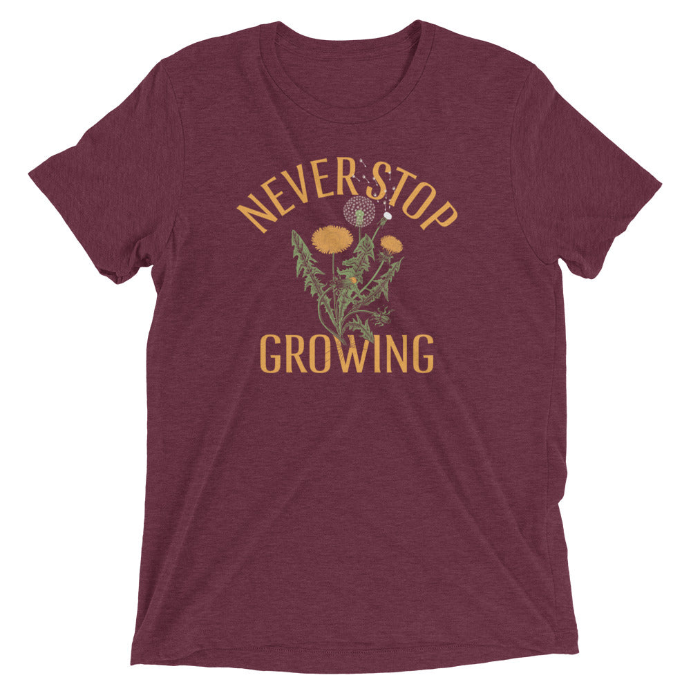 Never Stop Growing Men's Tri-Blend Tee