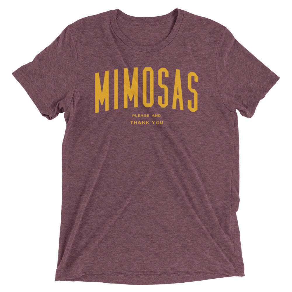 Mimosas Please And Thank You Men's Tri-Blend Tee