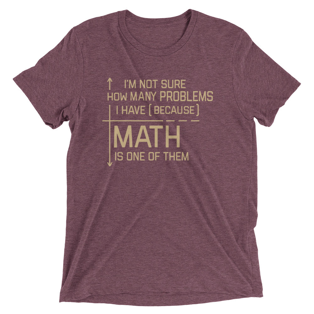 I'm Not Sure How Many Problems I Have Men's Tri-Blend Tee