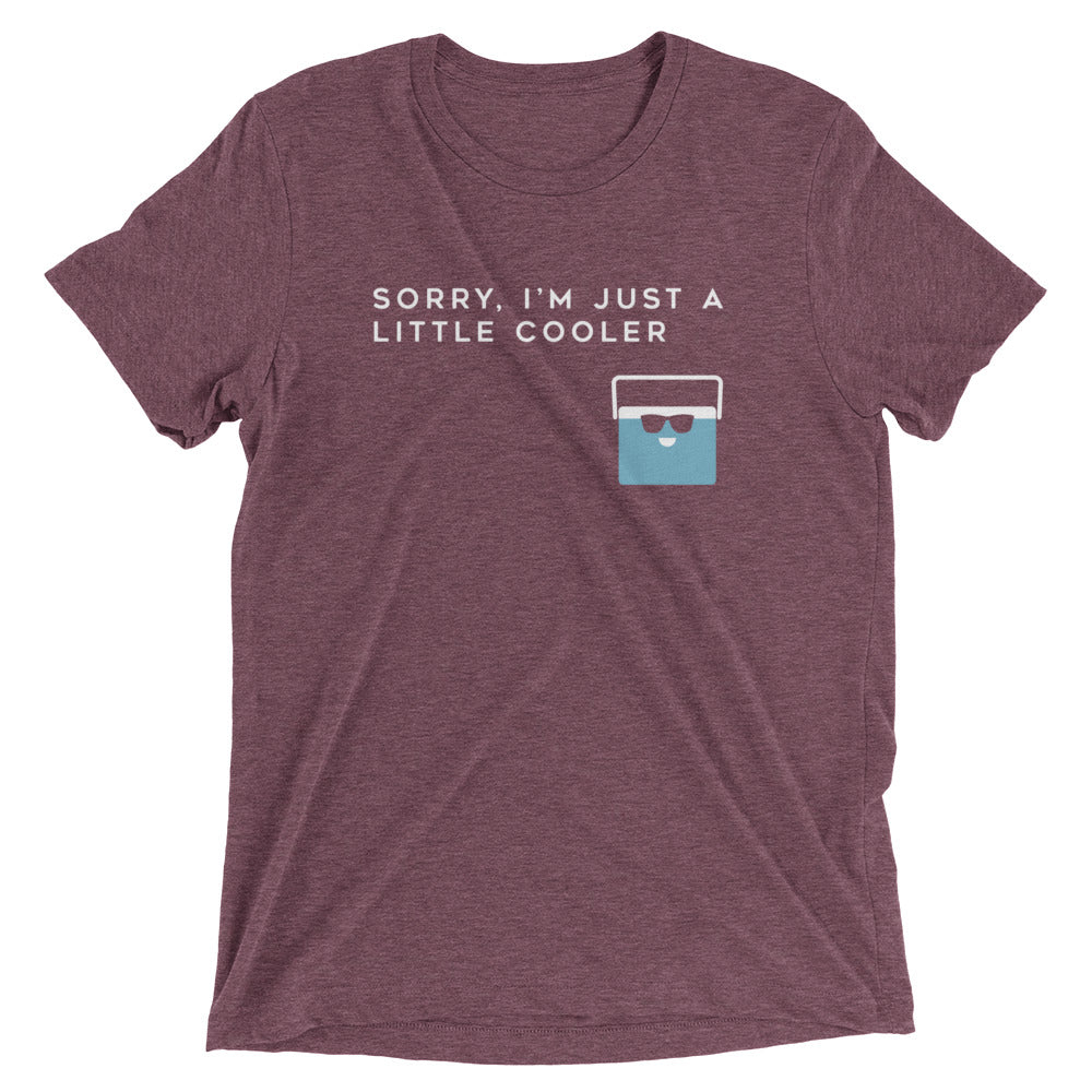 Sorry, I'm Just A Little Cooler Men's Tri-Blend Tee