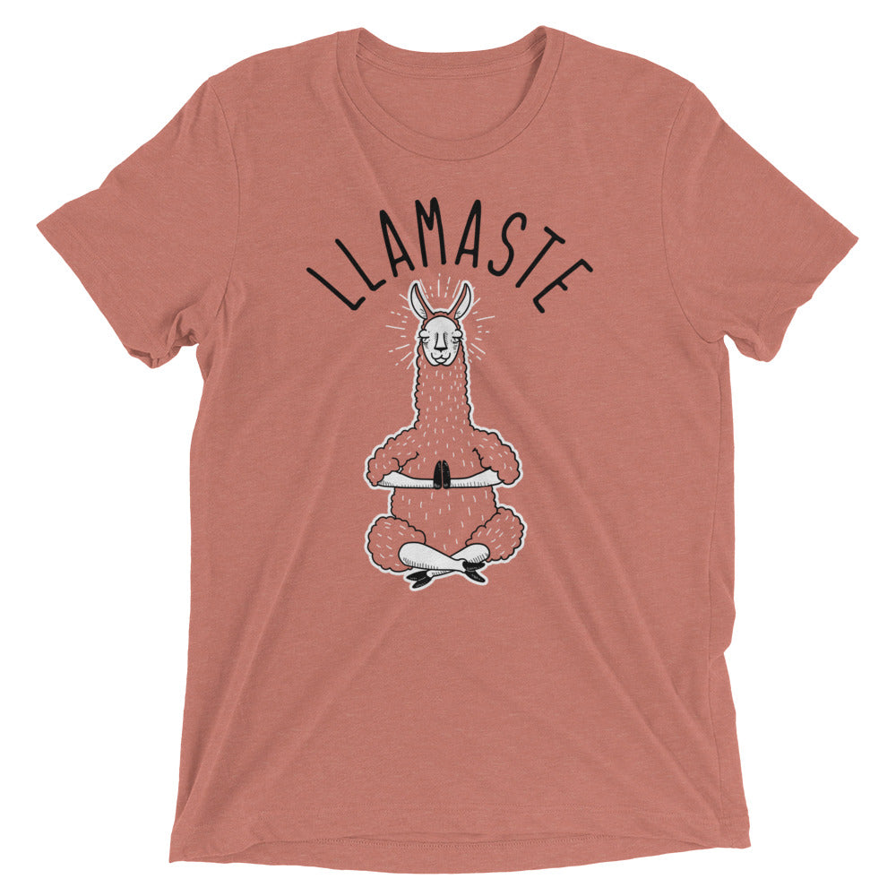 Llamaste Men's Tri-Blend Tee