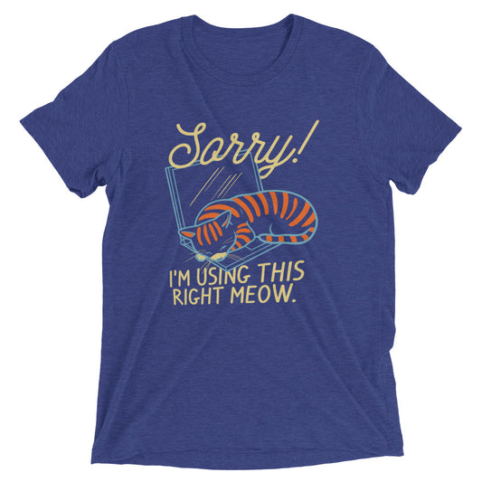 Sorry! I'm Using This Right Meow Men's Tri-Blend Tee