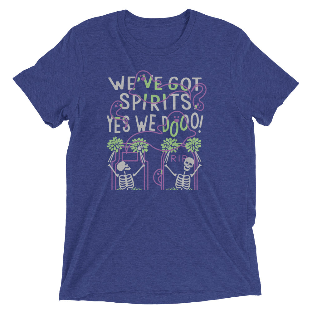 We've Got Spirits Men's Tri-Blend Tee