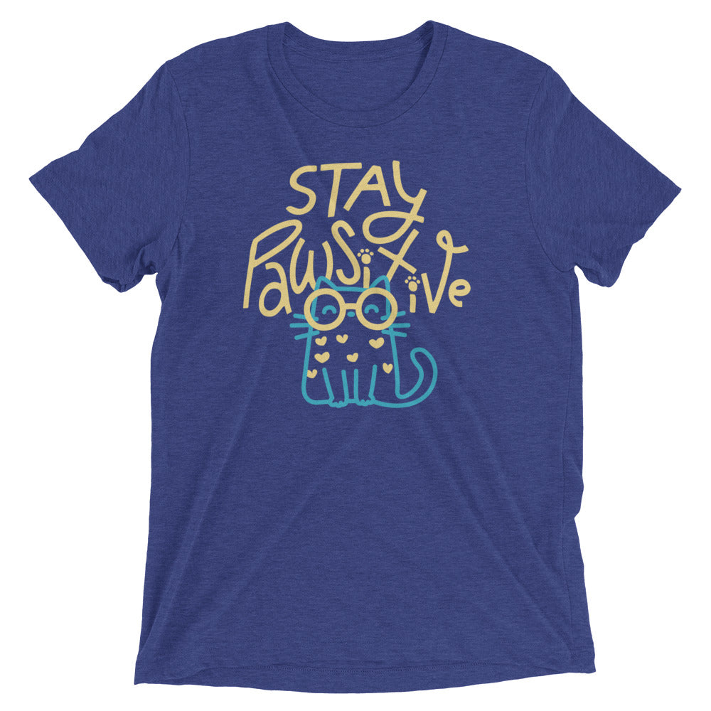 Stay Pawsitive Men's Tri-Blend Tee