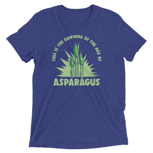 Age Of Asparagus Men's Tri-Blend Tee