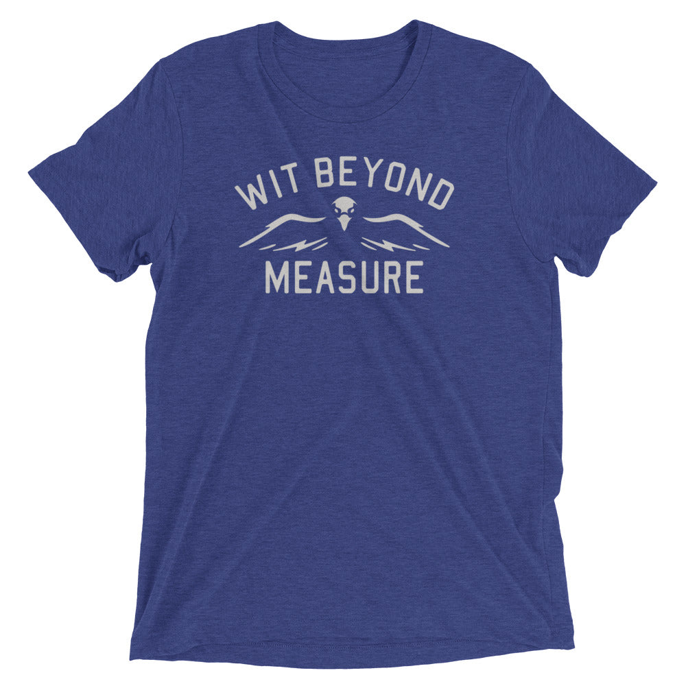 Wit Beyond Measure Men's Tri-Blend Tee