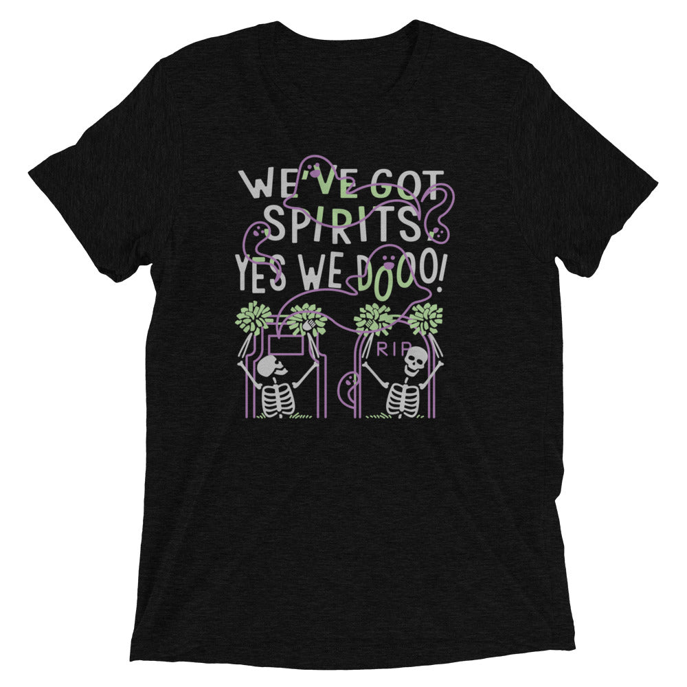 We've Got Spirits Men's Tri-Blend Tee