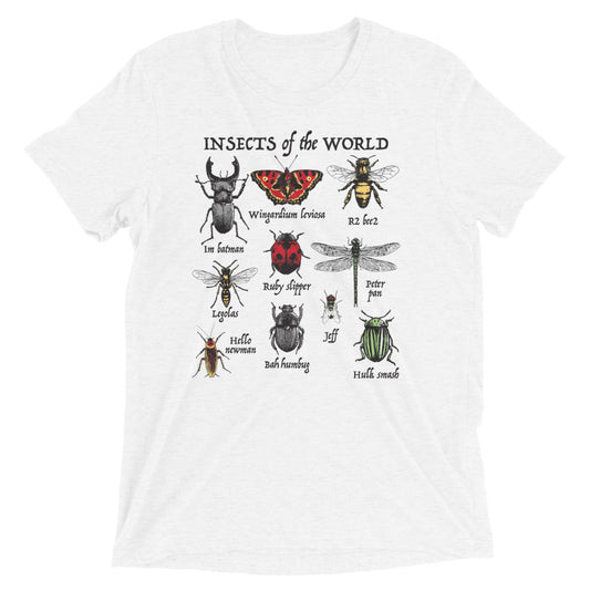 Insects Of The World Men's Tri-Blend Tee