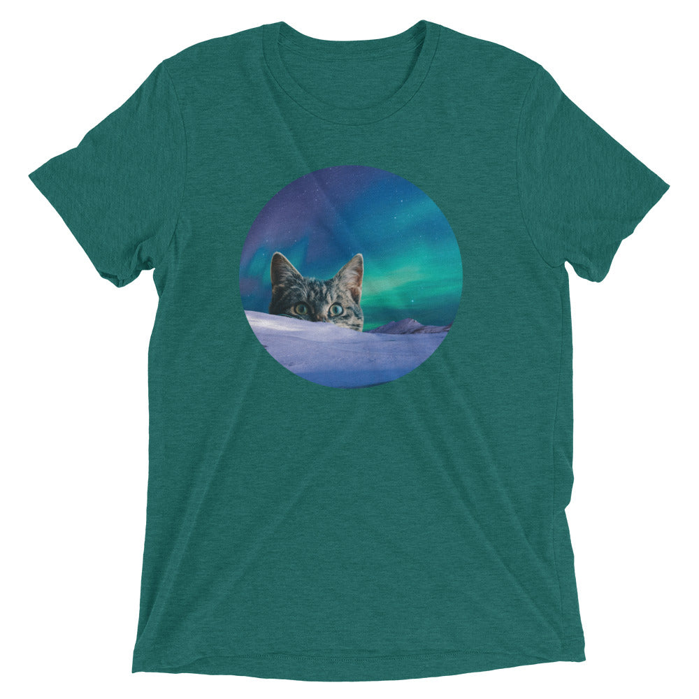 Meowthern Lights Men's Tri-Blend Tee