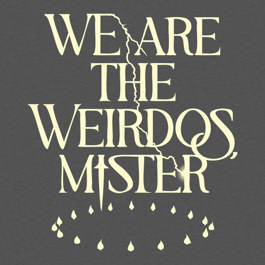 We Are The Weirdos, Mister