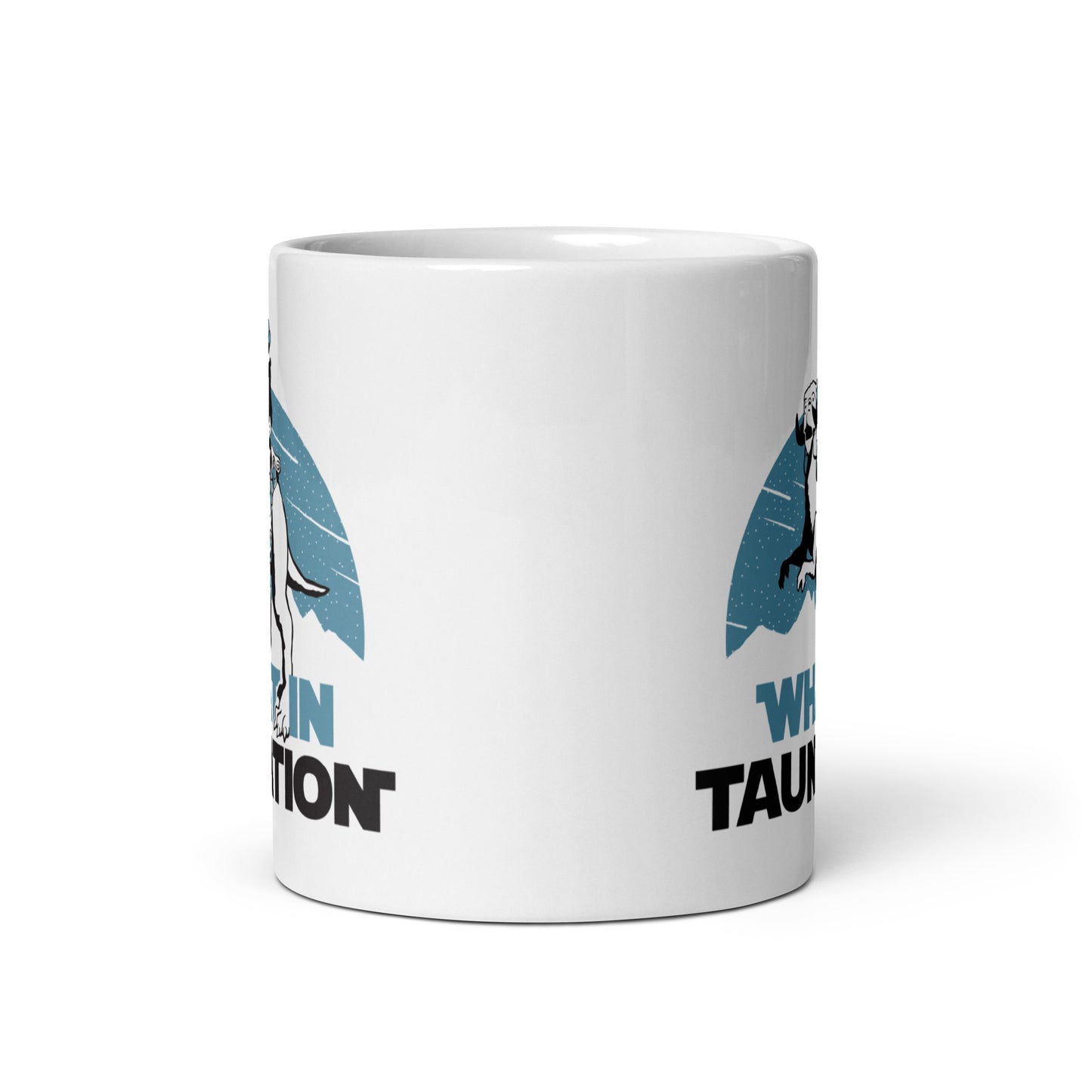 What In Taunation Mug