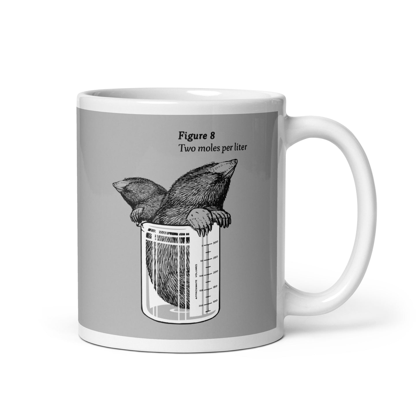 Two Moles Per Liter Mug