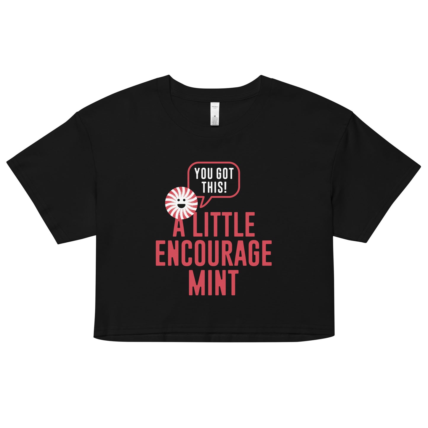 A Little Encourage Mint Women's Crop Tee