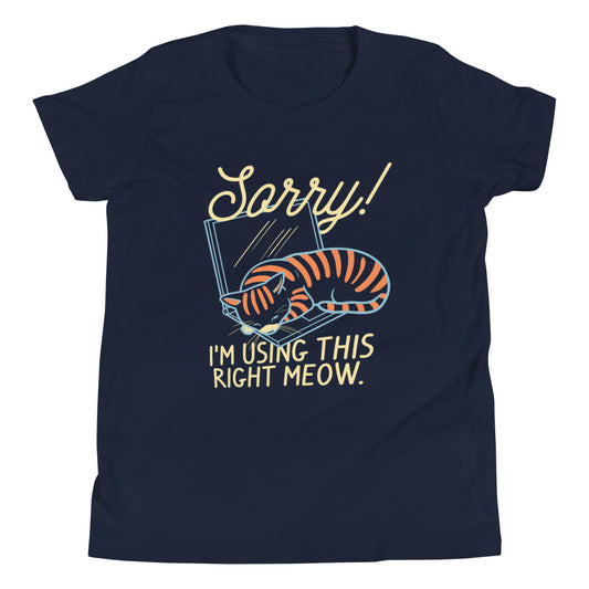 Sorry! I'm Using This Right Meow Kid's Youth Tee